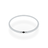 Flag ring for flagpoles